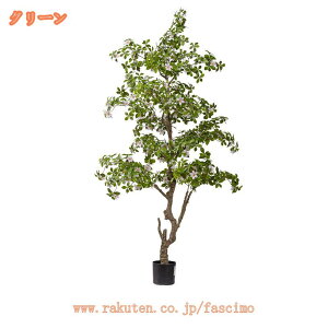 ϗtA tFCNO[ ^ A tFCN CeA lHϗtA   A 傫 lH sv  A[gO[  x_ eX ze  