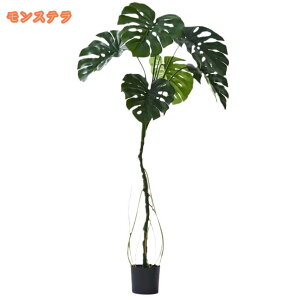 tFCNO[ zj ^ lHϗtA  bNX  CeA ItBX v[g ϗtA 傫    a LO  ̓ Ǝ 