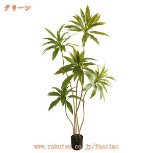 lHϗtA tFCNO[  ϗt CeA  b炸 sv ItBX z[ fR[V ͂Ȃ  O    rO   ͗lւ 