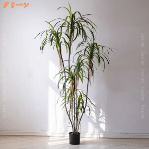 ^ tFCNO[ lHϗtA AȎ sv ͂Ȃ p CeAO[  I  rO ItBX    킢    Q L 