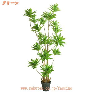 2000~OFFN[| tFCNO[ k CeAG lHϗtA tFCNA  A ItBX rO Q  L ȒP zj  fR[V