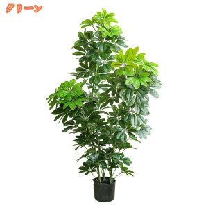 tFCNO[ k CeAG lHϗtA tFCNA  A ItBX rO Q  L ȒP zj  fR[V  OΉ 