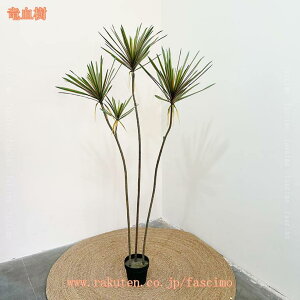 ϗtA tFCN tFCNO[ lHϗtA ^ tFCNA  CeA  OΉ sv ͂Ȃ ~͐A   ItBX   ͎Os 