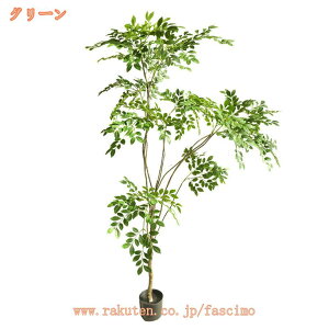 1000~OFFN[| tFCNO[ lHϗtA CeA O[   ƒ ItBX  j Mtg lHt lHA ͂Ȃ ͋C Vzj JXj VN N