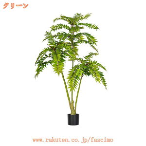 ϗtA tFCNO[ lHϗtA ^ A  v[g CeA p Bep   j JXj fR[V 뉀 ItBX A { 