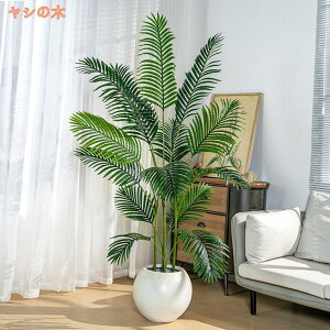 tFCNO[ A ϗtA CeA  lHϗtA I ^  A O  ItBX a p lH    rO[ Xg z