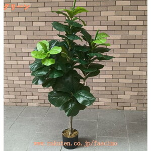 tFCNO[ ϗA lHϗt ϗtAtFCN ^ lHϗtA tFCNO[^ ϗtA p  Vv ItBX CeA  j ̓ ̓ 