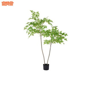  lHϗtA ^  lHΐA X i ƒ    tFCNO[ j JXj ̓ ͂Ȃ sv b炸 eiXsv Q΍sv J