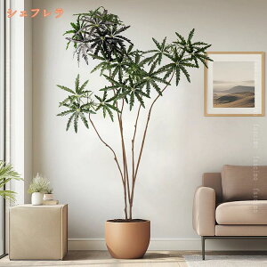 O ItBX CeAO[ ^  tFCNO[ lHΐA  j fRp ȒP QȂ  { R[q[Vbv Lb` p[eB[