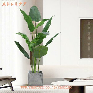 2000~OFFN[| tFCNO[ t lHϗtA tFCNA  A ItBX rO Q  L ȒP zj b炸 sv z[ ze 