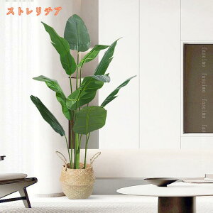 lHϗtA ^ tFCNO[ {̐lHA lH CeAO[ ϗt A bȂ ͂Ȃ   ItBX j  Iȑ Vzj z[