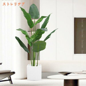 tFCNO[ t lHϗtA tFCNA  A ItBX rO Q  L ȒP zj b炸 sv z[ ze fR[V 