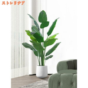 lHϗtA tFCNO[ ϗtA  t X i ƒ    ^  Vv  j fR[Vp CeA ȒP Q