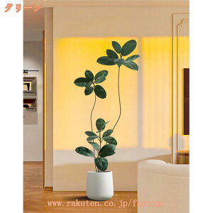 lHϗtA t lHϗt A { CeAO[ tFCNO[ ^ Q쏜sv lHt lHA ϗt  CeA   rO 