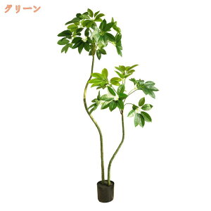 tFCNO[ zj ^ lHϗtA  bNX  CeA ItBX v[g ϗtA 傫    a LO  ̓ Ǝ 