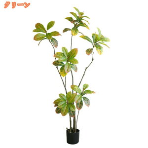 lHϗtA tFCNO[ ϗtA  t ^ tFCN O[ CeA  { lHA lH bȂ ͂Ȃ sv Ή Xܑ wi