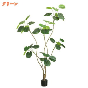 lHϗtA tFCNO[ ^ 傫  CeA  tFCN O[   K  sv   p Mtg 蕨 _  ډB rO  