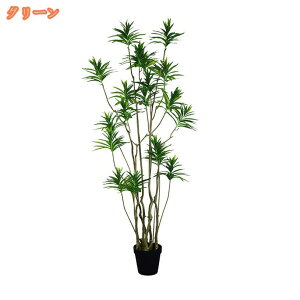 tFCNO[ lHϗt ϗtA 220m p  Vv ItBX  Lb`   Vz zj a LO  ̓ Ǝ ̓ VN CeA 