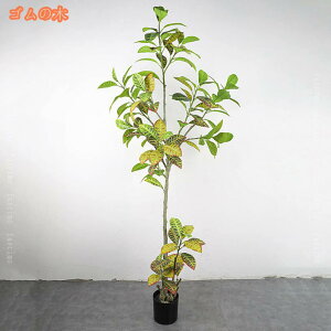 lH ϗtA tFCN 200cm 1{ tFCNO[  CeA  O tFCNA lHϗtA sv ͂Ȃ ~͐A rO[ OpeBI xbh[ 