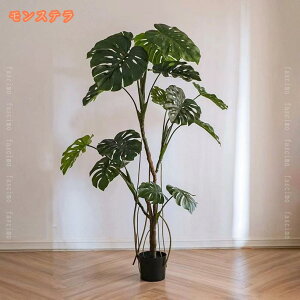 lH ϗtA tFCN Xe ^ ^ ^ tFCNO[  CeA  O tFCNA lHϗtA sv ͂Ȃ ~͐A _CjO[ rO[