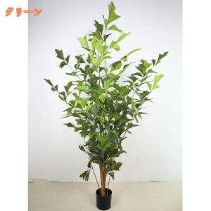 lH ϗtA tFCN ^  CeA  O tFCNA lHϗtA sv ͂Ȃ ~͐A ϗt JXj e@ p sv A zj Vzj