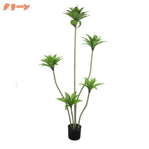 ϗtA tFCNO[ a_ A ^ lHϗtA   CeA p Op lH ~ tFCNA O sv ͂Ȃ   ItBX XX K