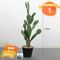 楽天市場】大きい サボテン（人工観葉植物｜造花・人工観葉植物）：花 