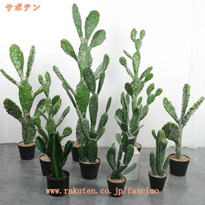 1000~OFFN[| lHϗtA A A T{e ^ ͂ȂO[ { CeAO[ tFCN MѐA lHA ϗt ϗtA  뉀 iX K[