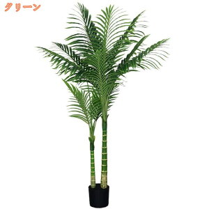 lHϗtA tFCNO[ ϗt  z[fR[V {̐lHA lH CeA bȂ ͂Ȃ   ItBX j  Iȑ Vzj