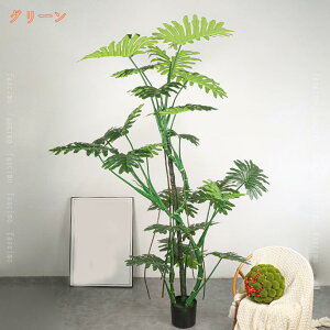  180CM CeA lHϗtA tFCNO[ ϗtA ^ 傫 j JXj ϗt IV  z[  rO ItBX Ԍ|p lHϗt tFCNt[ 