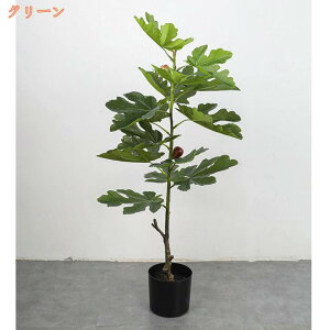 Mъϗt lHϗtA tFCNO[ ^TCY b炸 CeA  rO ItBX    t[AWg fBXvC  a _ 傫 傫