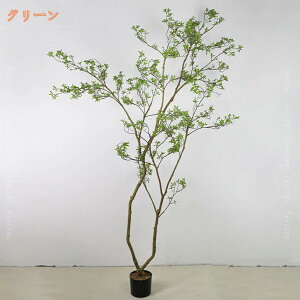 k lHϗtA 傫 tFCNO[ ϗA  Vv ItBX    Q c oRj[  킢 CeA fR[V  Mtg v[