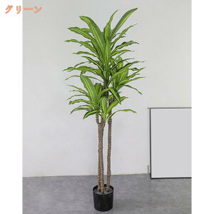 ϗtA tFCNO[ lHϗtA  CeA  O tFCNA lH sv ͂Ȃ ~͐A Q쏜sv ډB ƒ  ͋C A t  