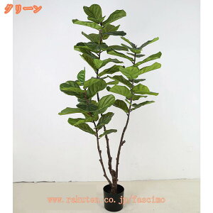 ϗtA tFCNO[ lHϗtA  CeA  O tFCNA lH sv ͂Ȃ ~͐A Q쏜sv ډB ƒ  ͋C A t  