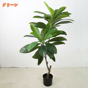  A ϗtA tFCN A[gt[ lHϗtA CeA 傫 tFCNO[ ^   Vzj X A ډB    A rO i`