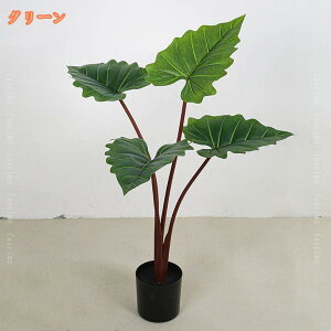 777~OFFN[| k lHϗtA 傫 tFCNO[ ϗA  Vv ItBX    Q c oRj[  킢 CeA fR[V 