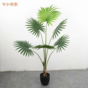 ^ tFCNO[ lHϗtA lH CeA  tFCNc[ t i` sv 엿sv ͂Ȃ Vzj zj Mtg 傫 傫  A