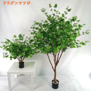 2000~OFFN[| tFCNO[ lHϗtA ϗt  ȒP ItBX  CeA A 傫  rO  K sv v[g 蕨 j