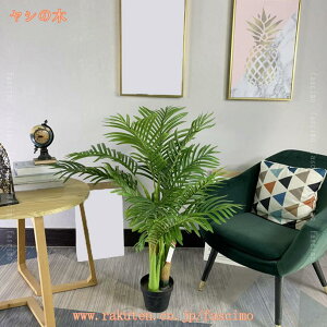 k CeA tFCNO[ ϗtA lHϗtA ^  rO 傫 { A  썑  j   p Mtg 蕨 _   {^