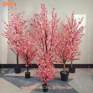 ϗtA tFCN sN ̖ lHϗtA ϗt ^  tFCNO[ p  ֐ rO xbh[ JtF  ItBX z[ X a  p[