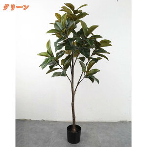 tFCNO[  ^ ^ u u i` Vv k ϗtA lHϗtA CeAO[ A[gO[  t  蕨 ډB  傫 