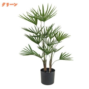 lHϗtA tFCNO[ CeAO[ 傫 fBXvC fR[V Xܑi Op OΉ  lH   A[gO[  CeA  