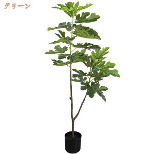 lHϗtA tFCNO[ CeAO[ 傫 fBXvC fR[V Xܑi Op OΉ  lH   A[gO[  CeA  