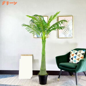 tFCNO[ lHϗtA ϗt  ȒP ItBX  CeA A 傫  rO  K sv v[g 蕨 j JXj ZW