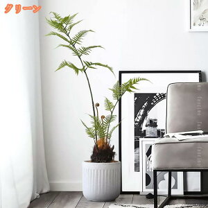 ϗtA ^ 傫 tFCNO[ lHϗtA rO ItBX       킢 v[g t   CeA A[g ͂Ȃ 