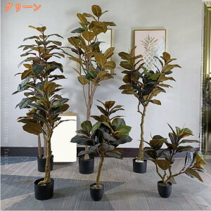 ԃO[ Ηt 傫TCY tFCNO[ Ύ A lHϗtA ^ CeAO[ lHt { ϗtA ͂Ȃ bsv /O  