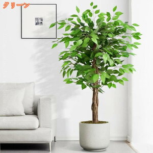 tFCNO[ ^ ϗtA A  t  CeA 傫 A[g ͂Ȃ sv ȒP  j v[g IV lHA tFCNc[ AWA