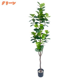 AtFCNO[ 180cm ϗtA ^ 傫 X^h C~e[VO[ ^A 蕨 AWA e@ X  lH j a  ̓ ̓  v