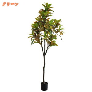 ԃO[ Ηt 傫TCY tFCNO[ Ύ A lHϗtA ^ CeAO[ lHt { ϗtA ͂Ȃ bsv /O  