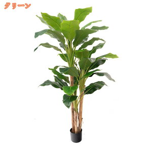 tFCNA 傫 sv 傫 ze [ tFCNO[ ^ ͂Ȃ QȂ  O  rO lHϗtA lHϗt {  p 